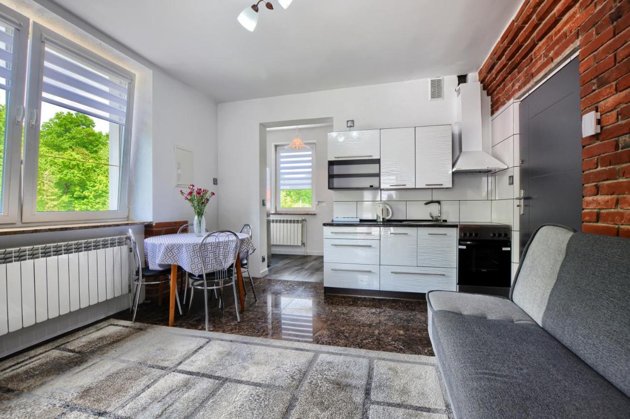 Ceglany Apartament Ustrzyki Dolne Ngoại thất bức ảnh