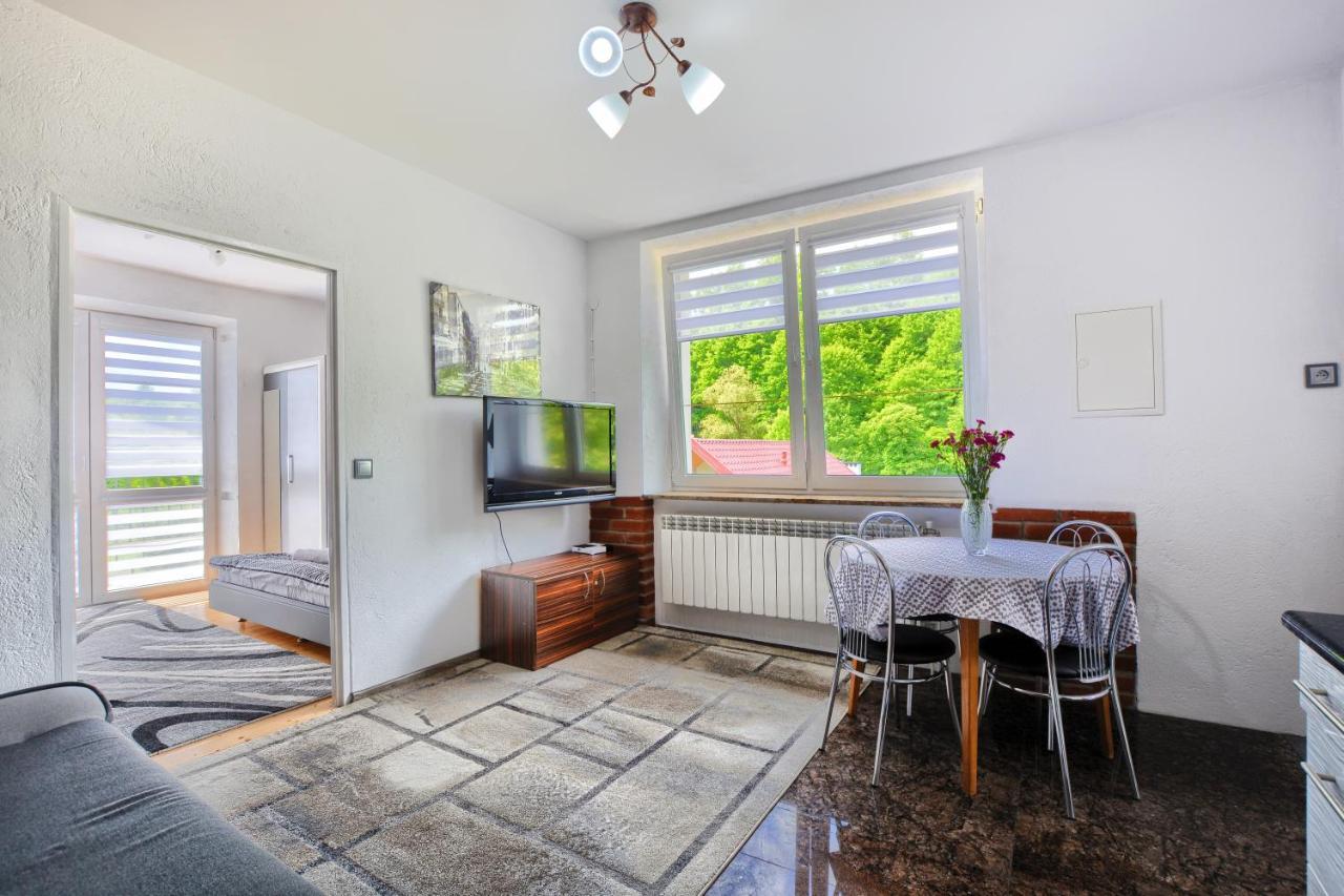 Ceglany Apartament Ustrzyki Dolne Ngoại thất bức ảnh